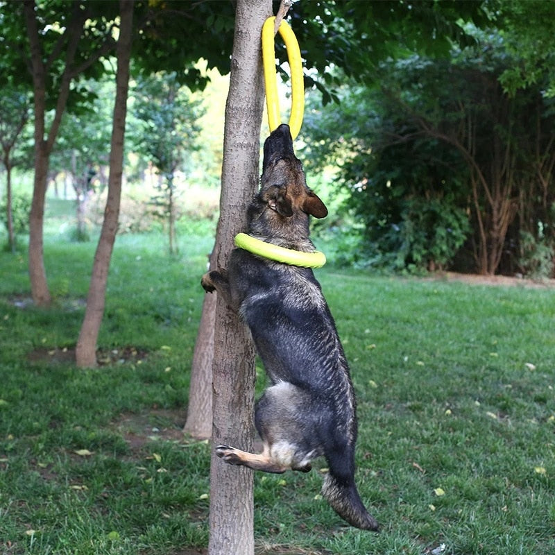 Mordedor Canino Anti Estresse